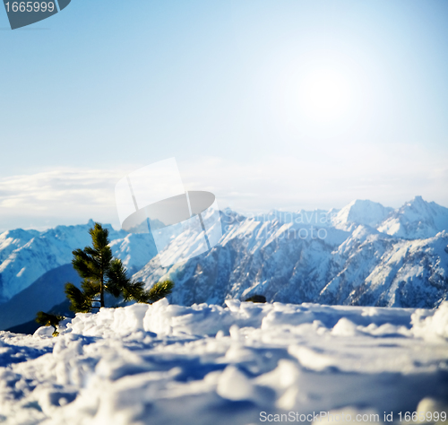 Image of Mountain snowy winter scenery