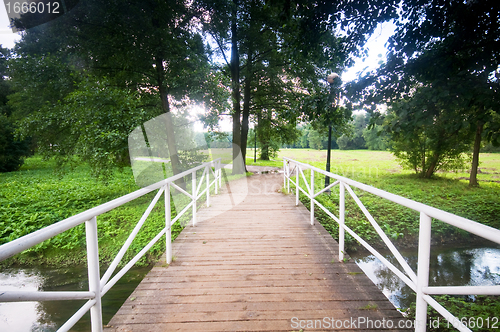 Image of Bridge in charming park