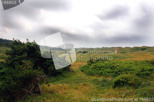 Image of Danish landscape