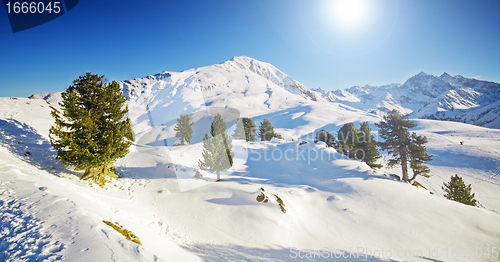 Image of Sunny winter mountain lanscape