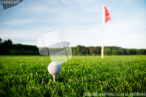 Image of Golf field