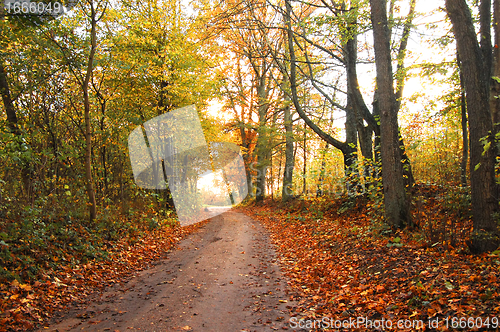 Image of Autumn scenery