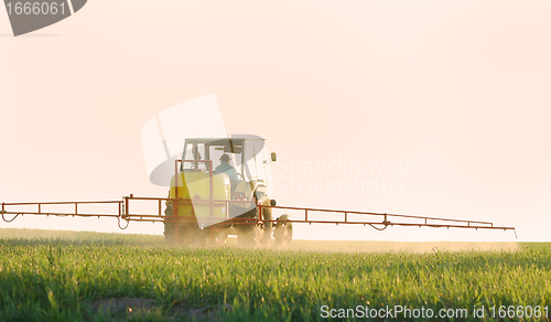 Image of Spraying the Crop