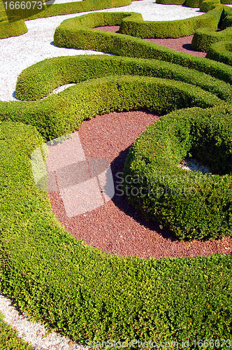Image of Garden design