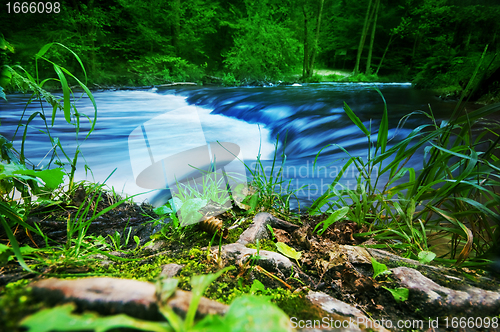 Image of Forest stream running fast