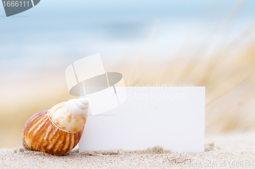 Image of Shell and a blank card on the beach