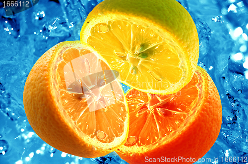 Image of Fresh citrus background