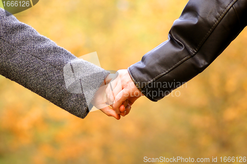 Image of Hand-in-hand