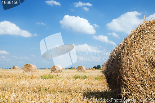 Image of Haystacks in the field