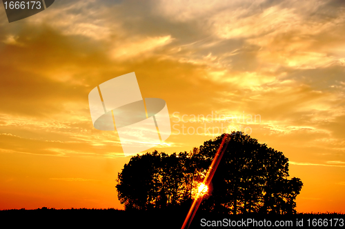 Image of Sunset and trees