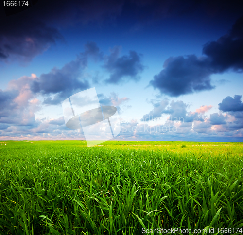 Image of Stormy summer landscape