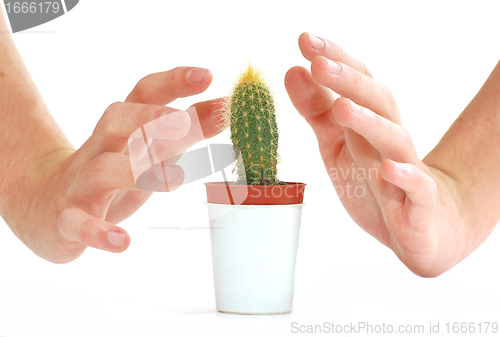 Image of Care about new life