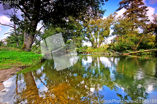 Image of Summer landscape