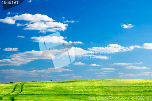 Image of Summer field landscape
