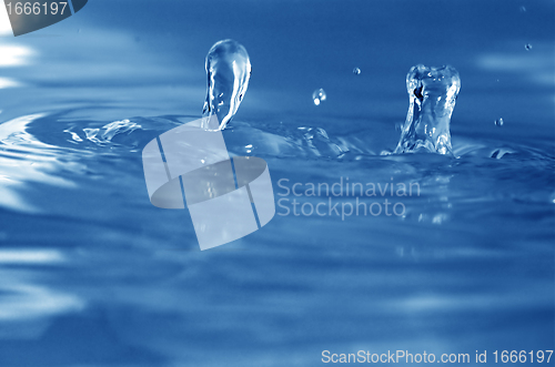 Image of Water drops