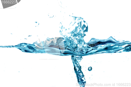 Image of Fresh water splash