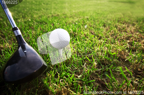 Image of Playing golf. Club and ball on tee