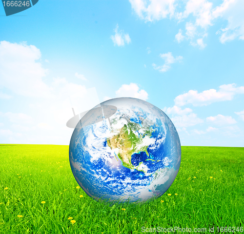Image of Earth globe on green grass