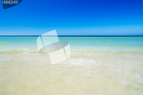 Image of Tropical beach