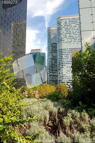 Image of Skyscrapers