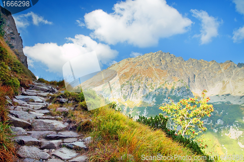 Image of Mountains landscape