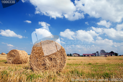 Image of Haystacks in the field