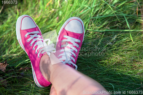 Image of Pink sneakers on girl legs on grass