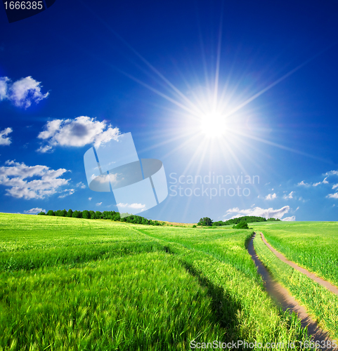 Image of Summer rural landcape