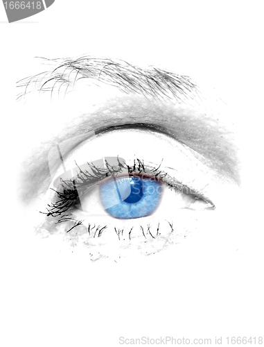 Image of Woman blue eye