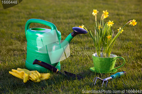 Image of Gardening tools and flowers