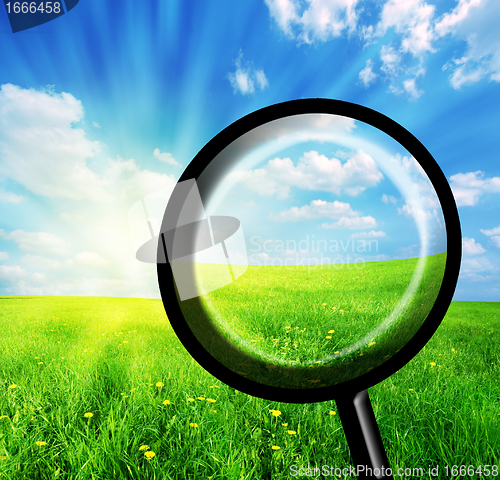 Image of Exploring spring!