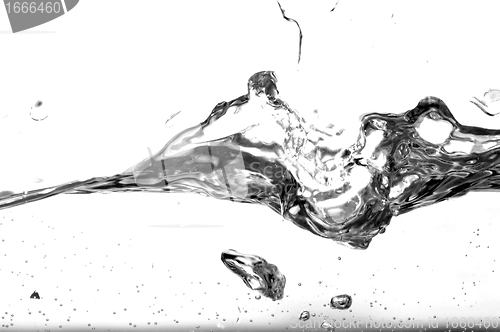 Image of Black and white water splash