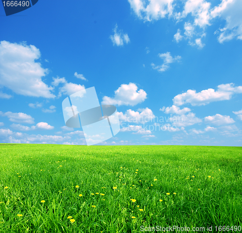 Image of Sunny spring landscape