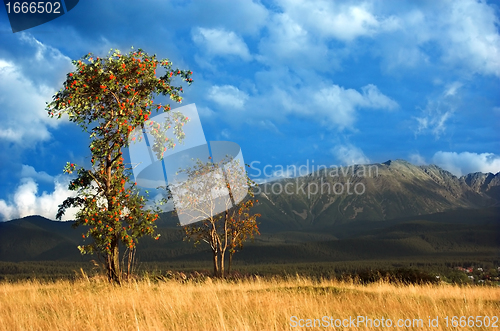 Image of Mountains landscape