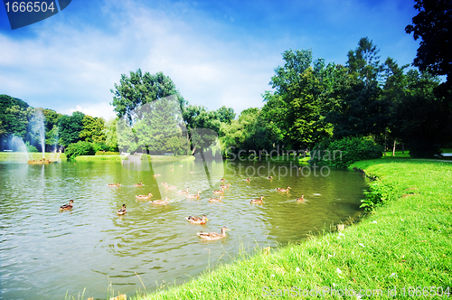 Image of Charming park with pond