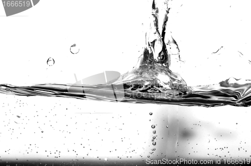 Image of Black and white water splash