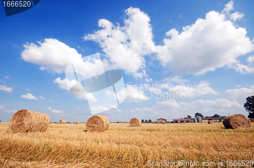 Image of Haystacks in the field