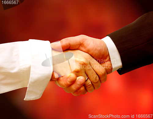 Image of Business handshake