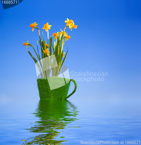 Image of Flowers in flowerpot in water