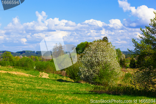 Image of Rural spring landscape