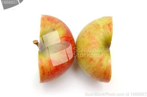 Image of Two apple halves