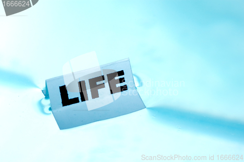 Image of LIFE concept