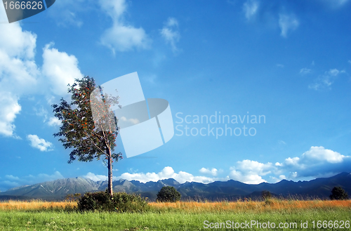 Image of Mountains landscape