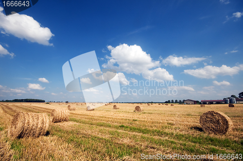 Image of Haystacks in the field