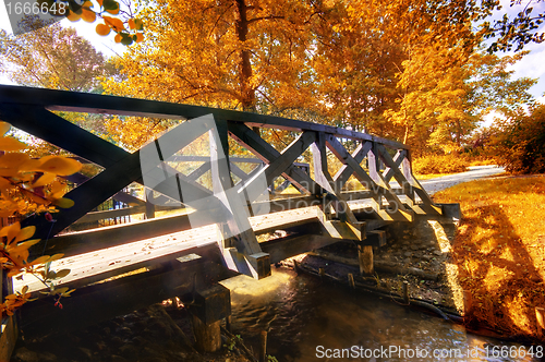 Image of Autumn park