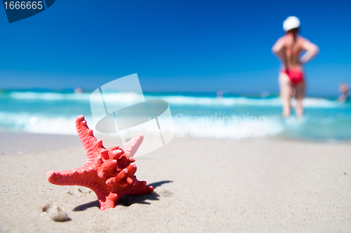 Image of Starfish on tropical beach