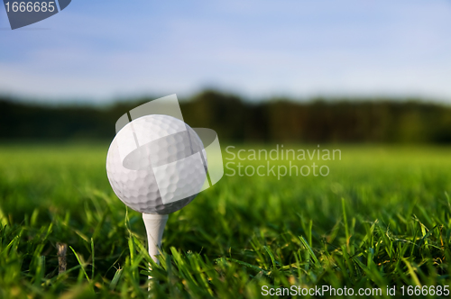 Image of Golf ball on tee