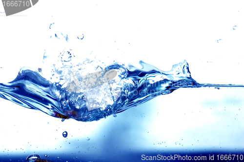 Image of Fresh water splash