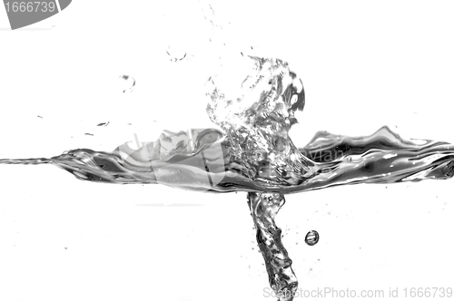 Image of Black and white water splash