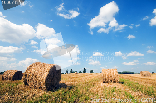 Image of Haystacks in the field